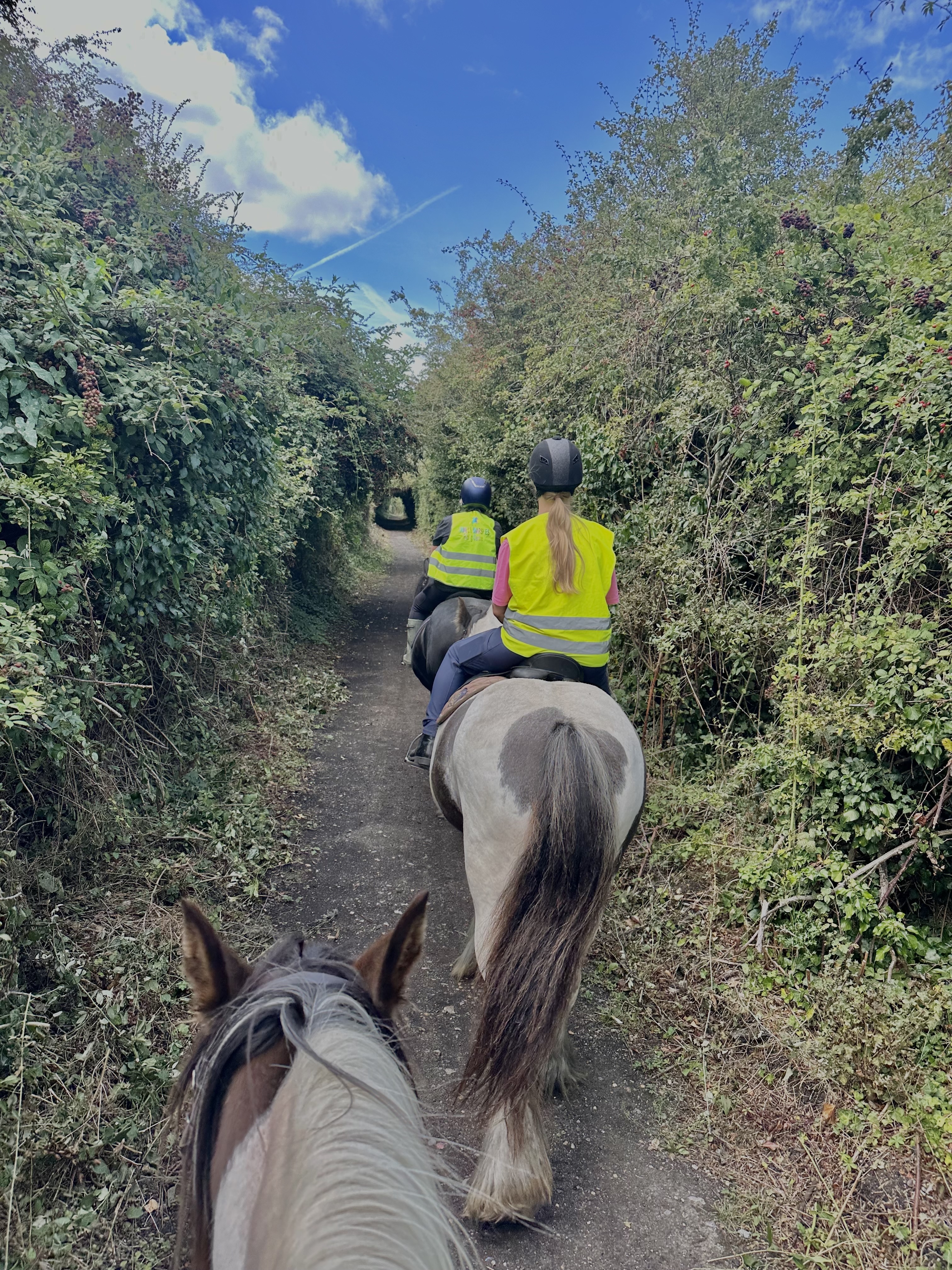 Adult Cake Club session